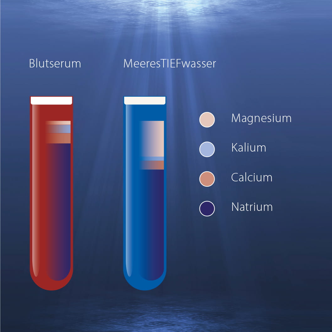 Vergleich von Blutserum und MeeresTIEFwasser in Reagenzgläsern, visualisiert die Mineralstoffverteilung von Magnesium, Kalium, Calcium und Natrium.