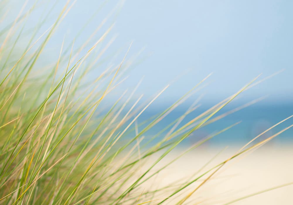 Erfahren Sie mehr über das Unternehmen Biomaris