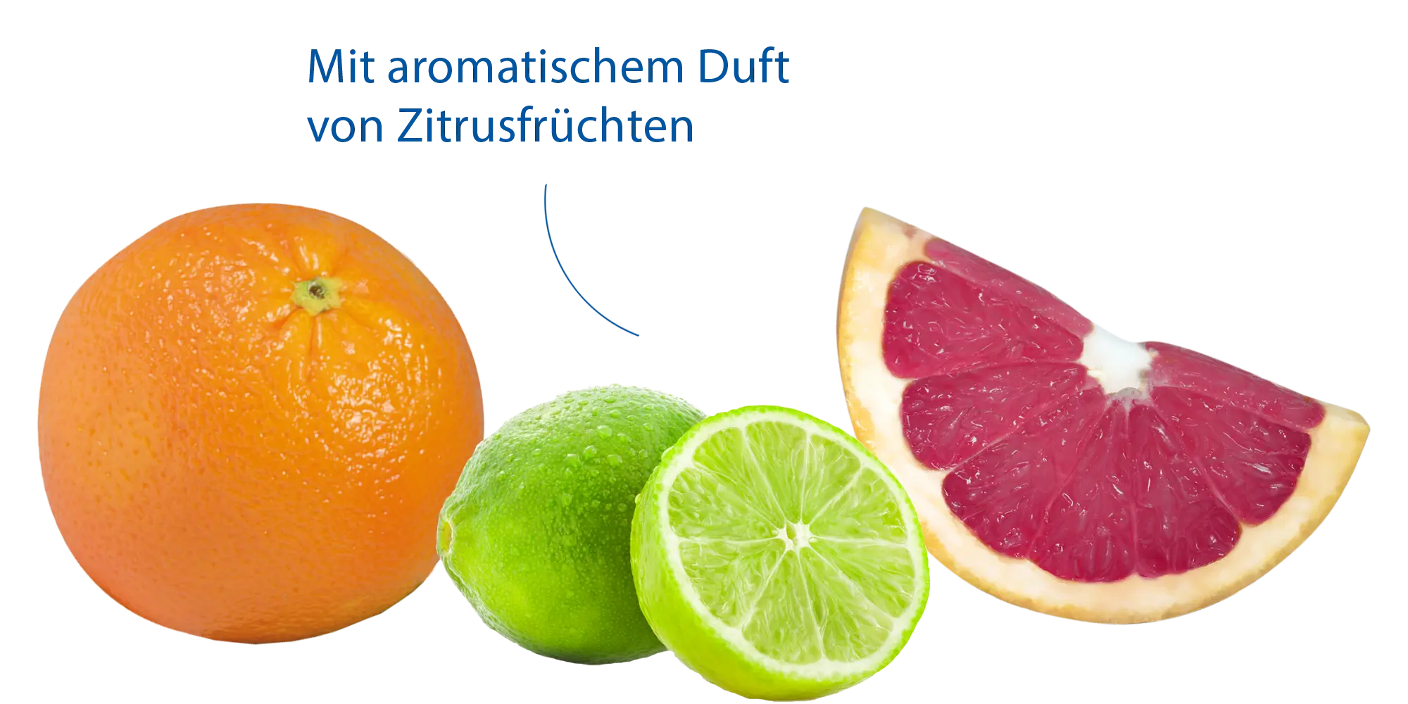 Ganze Orange und Limette, halbe Limette und ein Stück Grapefruit – Symbolbilder für natürliche Aromen