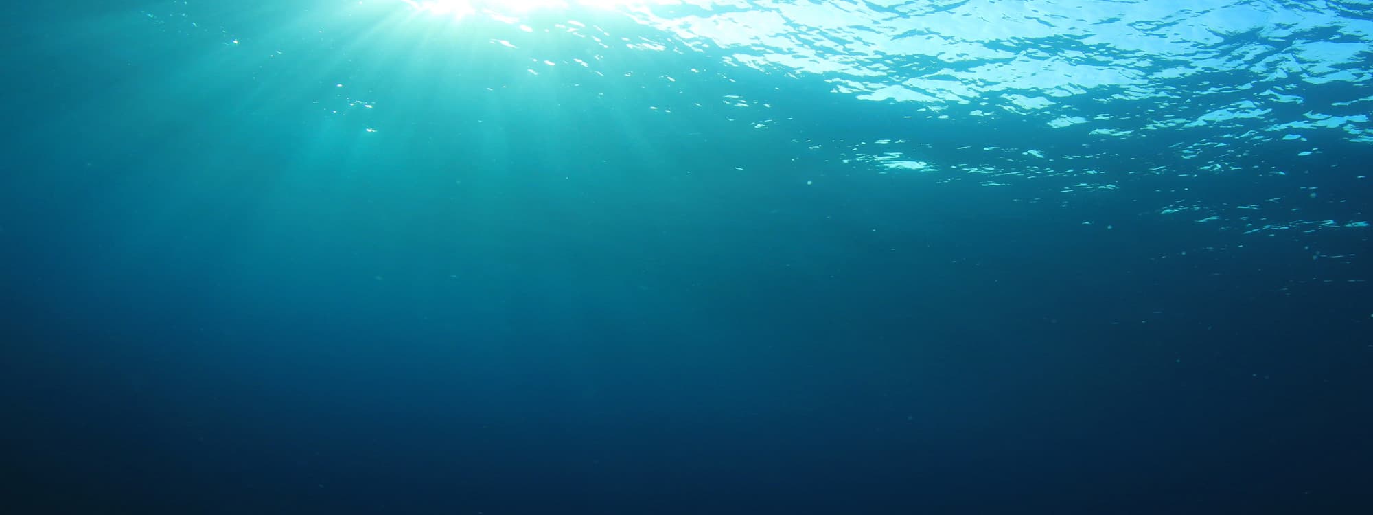 Blick auf den Nordatlantik – klares Meerwasser unter blauem Himmel.
