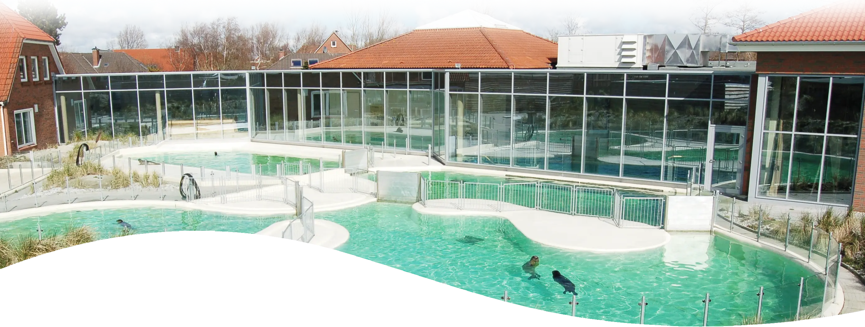Außenbereich der Seehundstation Norddeich mit Becken Außenbereich der Seehundstation Norddeich mit Becken