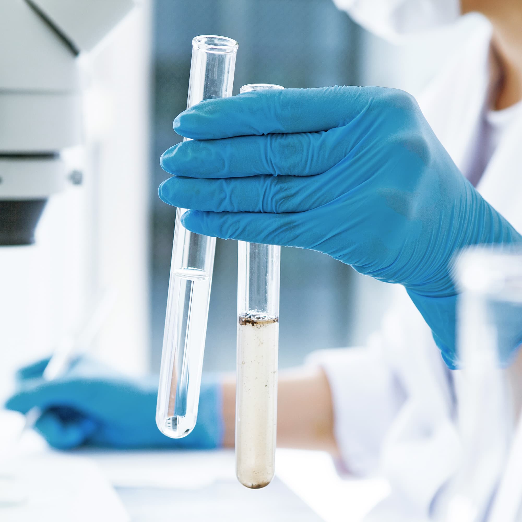 Person mit blauen Handschuhen hält zwei Reagenzgläser mit klarer und trüber Flüssigkeit im Labor.