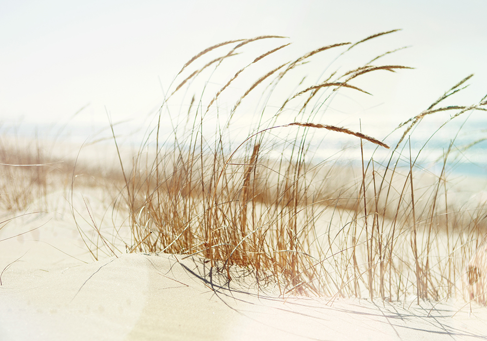 Biomaris engagiert sich